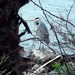Semesterbostad La Casa Tra I Laghi Messina