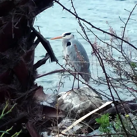Ferienhaus La Casa Tra I Laghi Messina